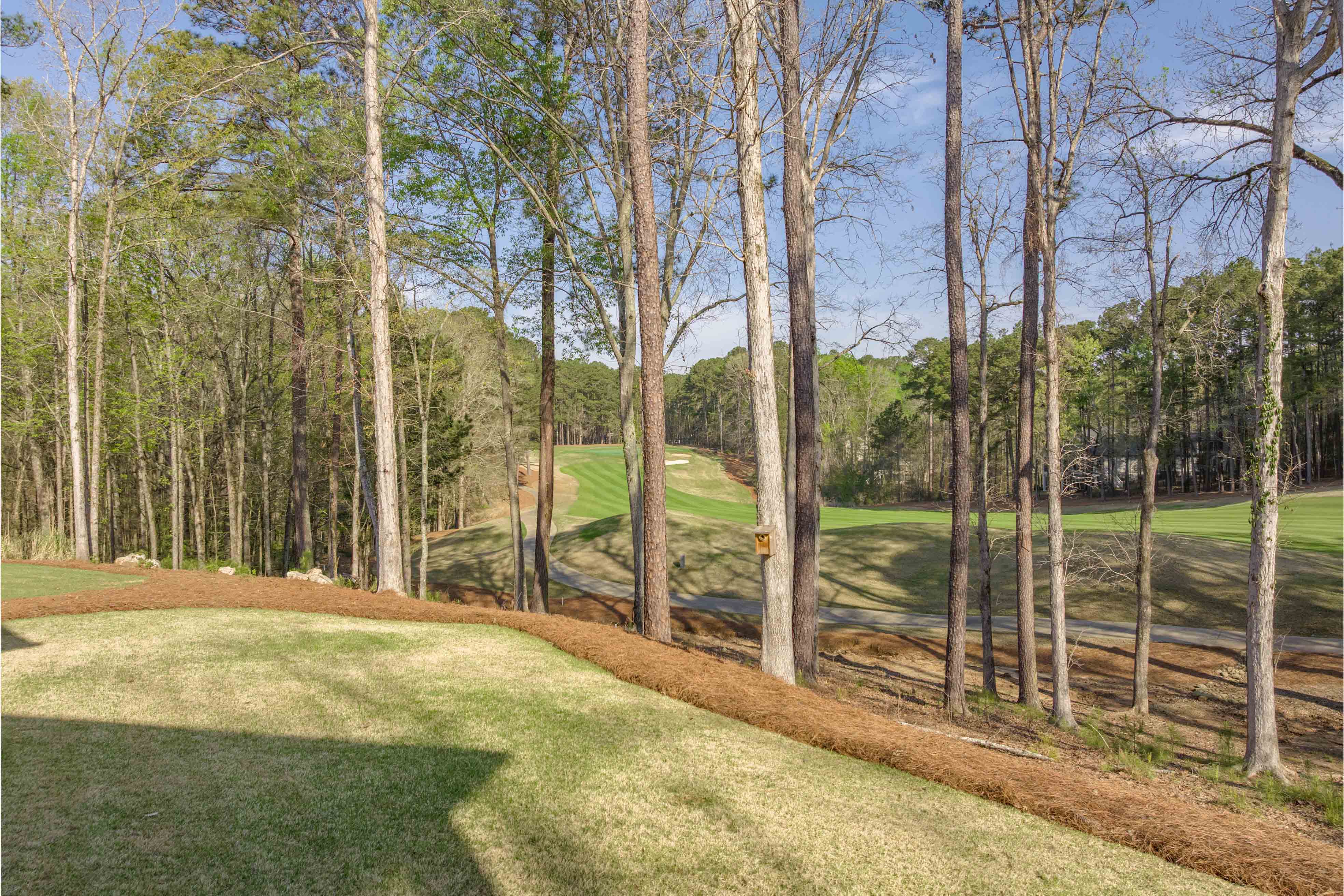 1140 Long Cove Drive image 40